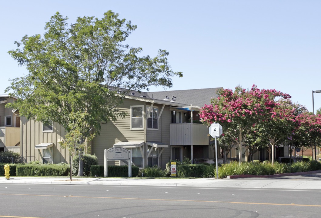 Stone Pine Meadow in Tracy, CA - Foto de edificio