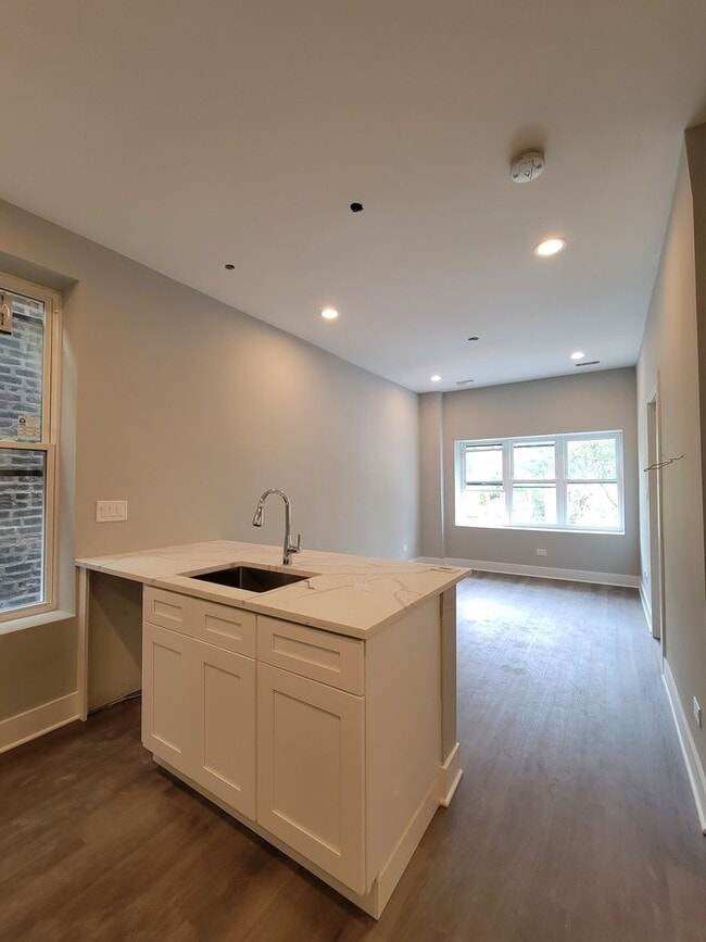 1319 W Cullerton St in Chicago, IL - Building Photo - Building Photo