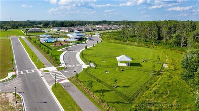 18302 Falling Pine Needle Ln in Land O Lakes, FL - Building Photo - Building Photo