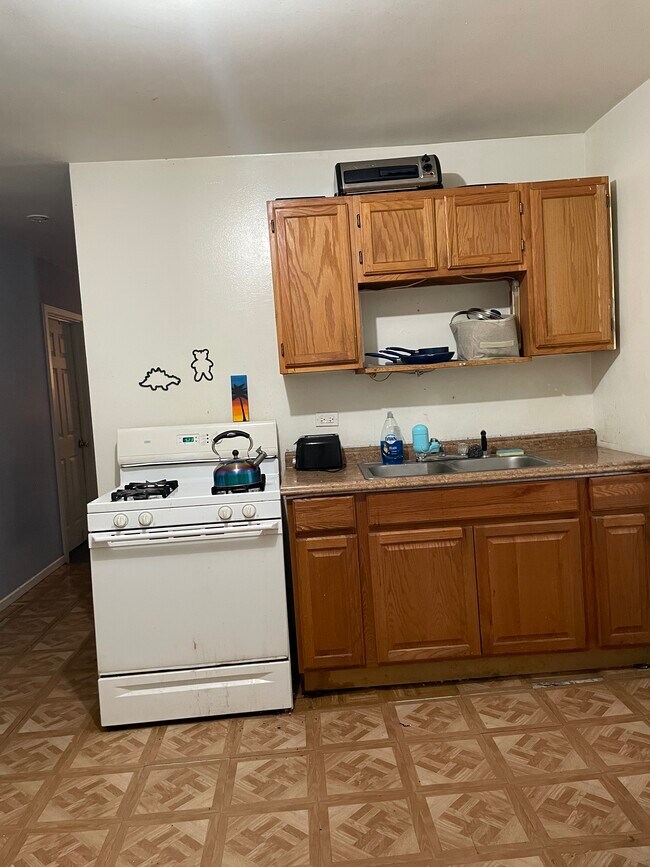 1305 W Fillmore St in Chicago, IL - Building Photo - Building Photo