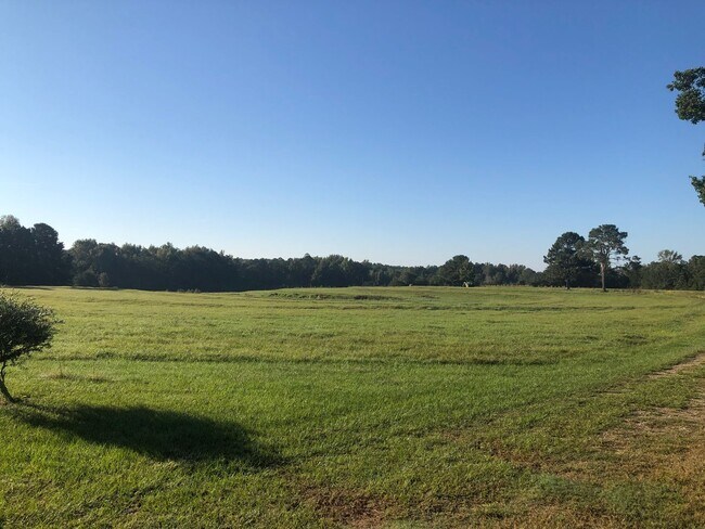 3180 Lee Rd 137 in Auburn, AL - Building Photo - Building Photo