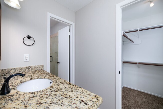 1 Ground Brier Ct in Spring, TX - Building Photo - Building Photo