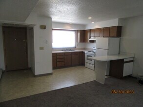 512 E Burlington St, Unit 1 in Iowa City, IA - Building Photo - Building Photo