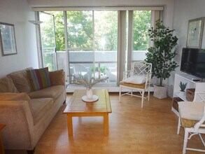 29 Concord Ave in Cambridge, MA - Building Photo - Building Photo