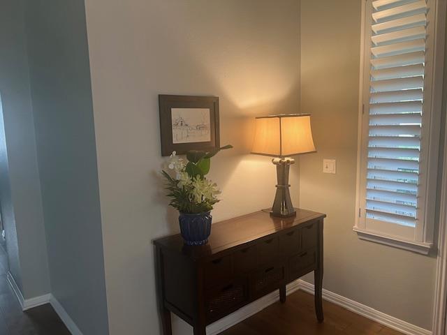 117 Blazing Star Dr in Georgetown, TX - Building Photo - Building Photo