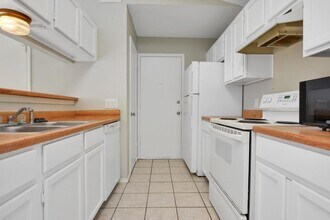 9101 Japonica Ct in Austin, TX - Building Photo - Building Photo