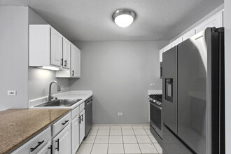 545 N Dearborn St, Unit 1305 in Chicago, IL - Building Photo - Building Photo