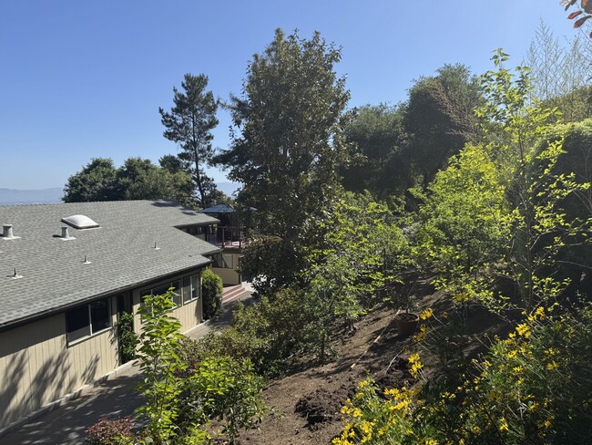 21305 Canyon View Dr in Saratoga, CA - Building Photo - Building Photo