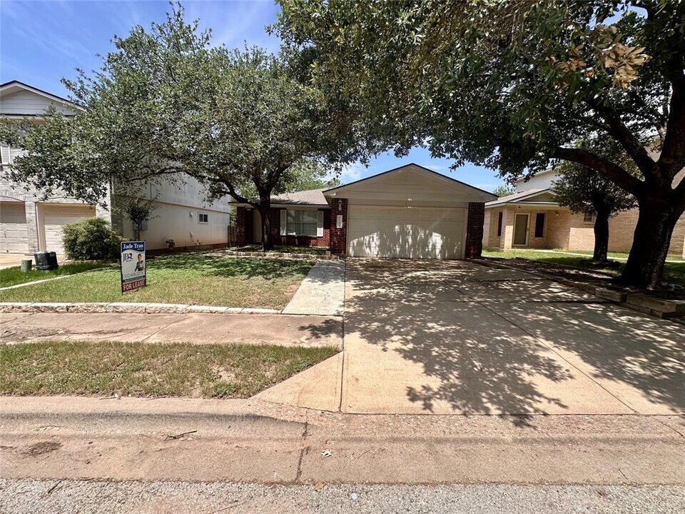 17204 Ardisia Dr in Pflugerville, TX - Building Photo