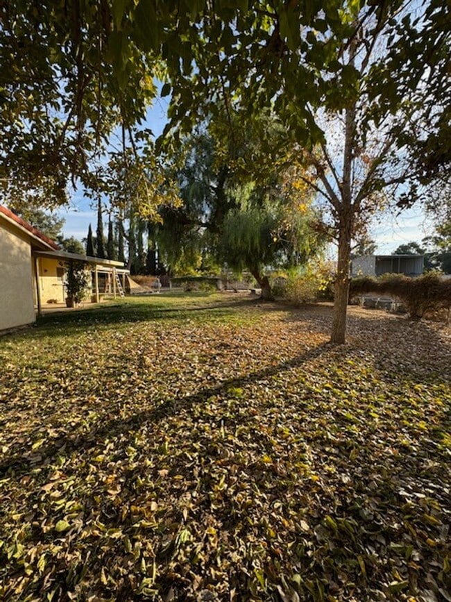 30303 Stephanie St in Hemet, CA - Building Photo - Building Photo