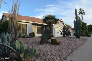 837 N Sailors Way in Gilbert, AZ - Building Photo