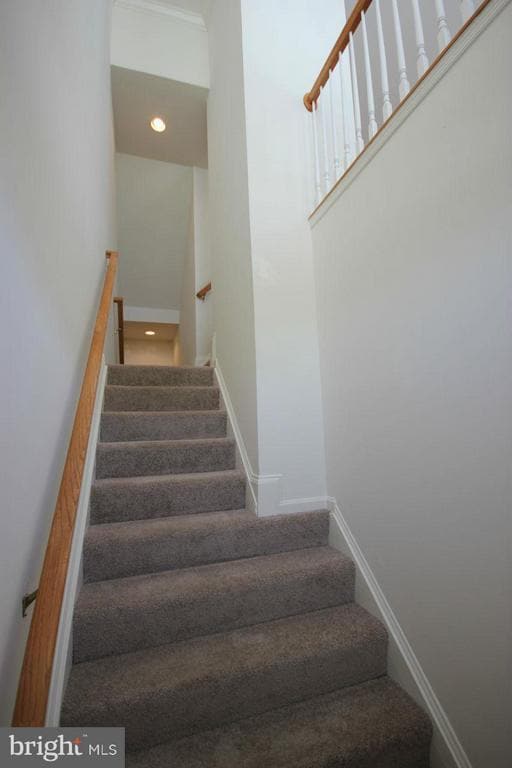 15675 William Bayliss Ct in Woodbridge, VA - Building Photo - Building Photo