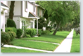 Calle Mayor Apartments in Torrance, CA - Building Photo