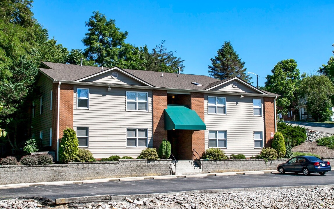 Hillside Apartments in Radford, VA - Building Photo