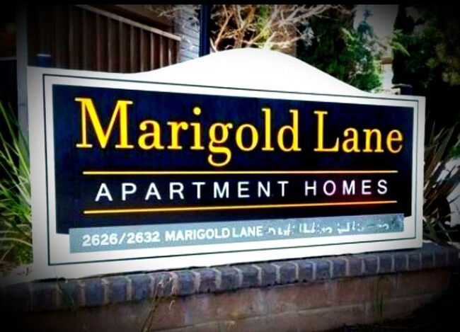 Marigold Lane Apartments photo'