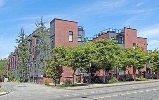 455 E 11th Ave in Vancouver, BC - Building Photo