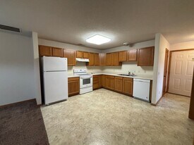 351 Williamsburg Pl in New Richmond, WI - Building Photo