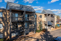 Diamond Pointe Apartments in Minneapolis, MN - Foto de edificio - Building Photo