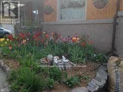 29 Victoria St in Orangeville, ON - Building Photo - Building Photo