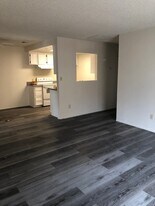 3007 Kounias Dr in Modesto, CA - Building Photo
