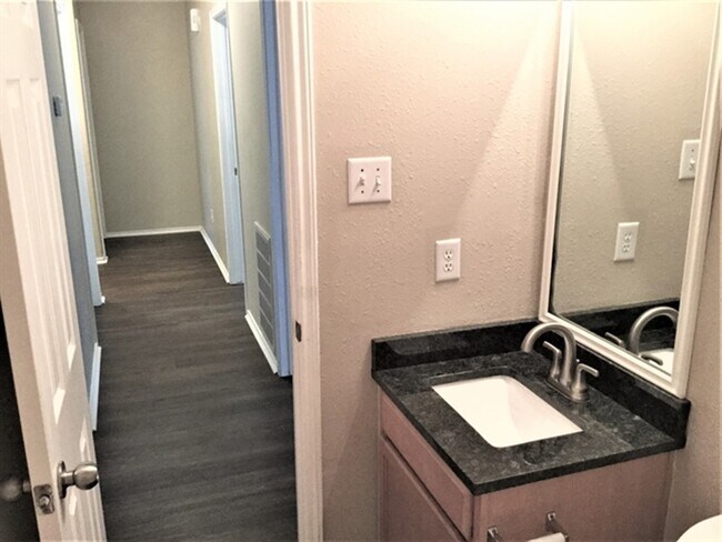 10434 Hamlet Vale Ct in Houston, TX - Foto de edificio - Building Photo