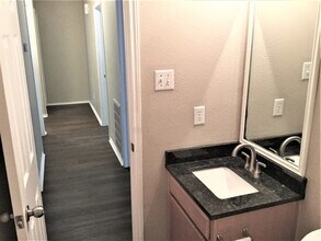 10434 Hamlet Vale Ct in Houston, TX - Building Photo - Building Photo