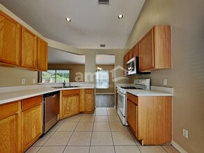 29812 Morningmist Dr in Wesley Chapel, FL - Building Photo - Building Photo
