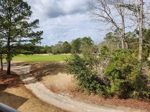 1123 Blue Stem Dr in Pawleys Island, SC - Building Photo - Building Photo