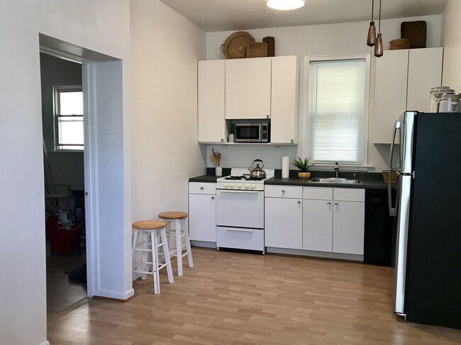 1701 W Altgeld St, Unit 1Rear in Chicago, IL - Building Photo - Building Photo