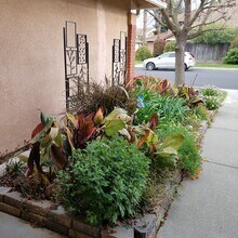 1001 Iron Ct in Vacaville, CA - Building Photo - Building Photo