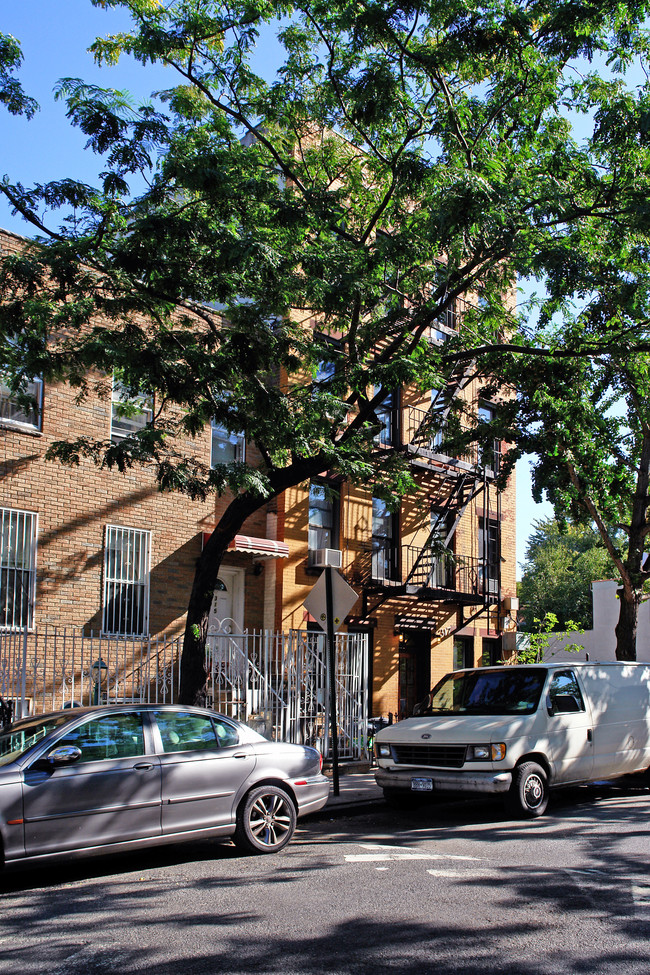 317 Pacific St in Brooklyn, NY - Foto de edificio - Building Photo