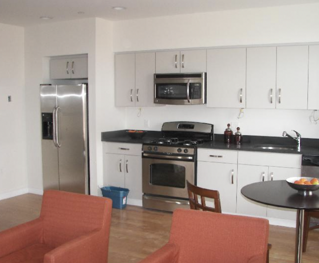 519 Albany St, Unit 406 in Boston, MA - Building Photo - Building Photo