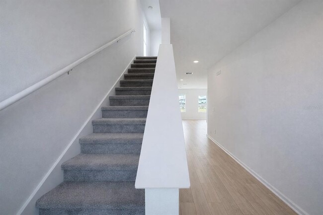 6428 DOMIZIO Dr in Cypress Gardens, FL - Building Photo - Building Photo