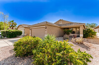 30318 N Sunray Dr in Queen Creek, AZ - Foto de edificio - Building Photo