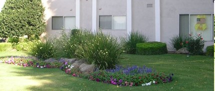Clovis Courtyard Apartments in Clovis, CA - Foto de edificio - Building Photo