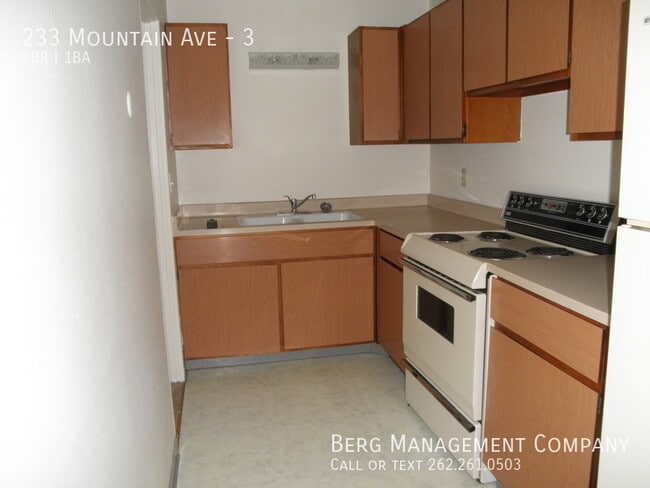 233 Mountain Ave-Unit -3 in Waukesha, WI - Building Photo - Building Photo