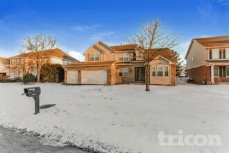 10416 Santa Cruz Ln in Orland Park, IL - Building Photo - Building Photo