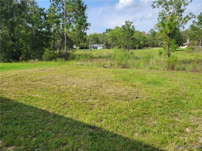 9505 N Travis Dr in Citrus Springs, FL - Building Photo - Building Photo