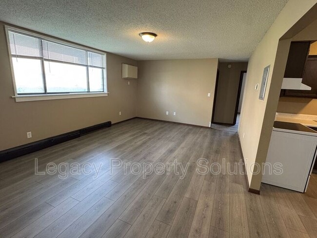 1011 S 3rd St in Bismarck, ND - Building Photo - Building Photo