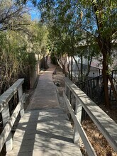 421- 425 N Olsen in Tucson, AZ - Building Photo - Building Photo