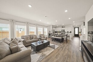 3019 Live Springs Ct in Rosenberg, TX - Building Photo