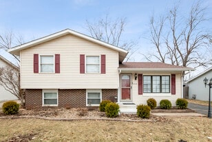 836 Lily Cache Ln in Bolingbrook, IL - Building Photo