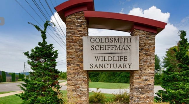 7535 Doris Ruth Ln SE in Owens Cross Roads, AL - Building Photo - Building Photo