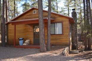 237 E White Mountain Blvd in Pinetop, AZ - Building Photo