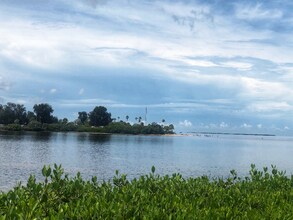 649 Windrush Bay Dr in Tarpon Springs, FL - Building Photo - Building Photo