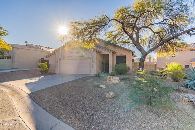 2353 N Azurite Cir in Mesa, AZ - Building Photo - Building Photo