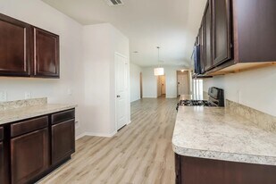 3538 Bartolo Brush Ct in Katy, TX - Building Photo
