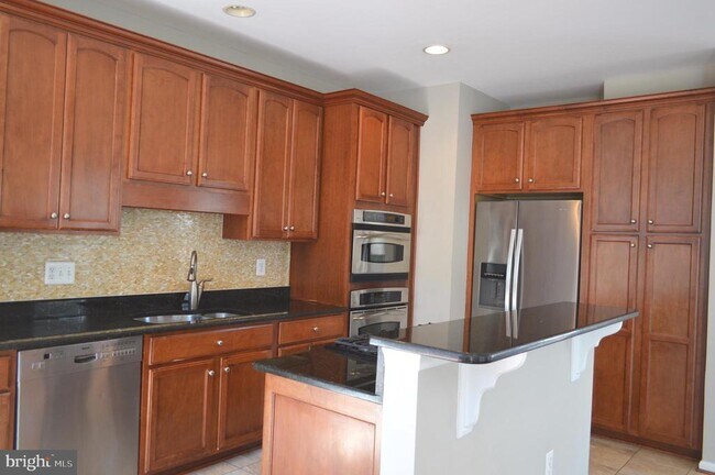 21937 Halburton Terrace in Broadlands, VA - Building Photo - Building Photo