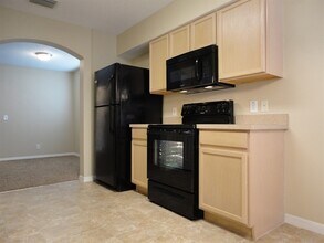 13006 Fennway Ridge Dr in Riverview, FL - Building Photo - Building Photo