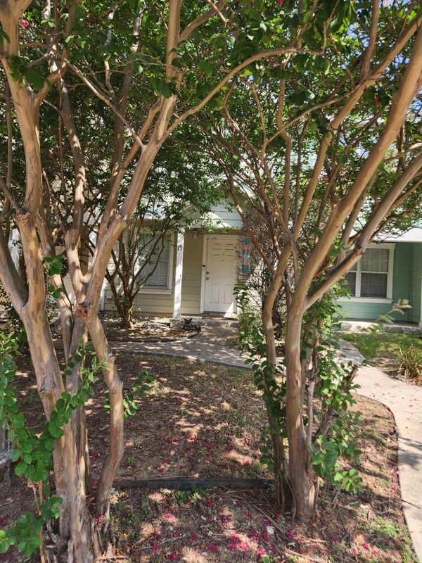 19 Autumn Pass in San Antonio, TX - Building Photo - Building Photo